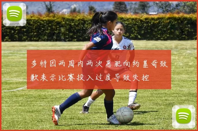多特因两周内两次恶犯向约基奇致歉表示比赛投入过度导致失控